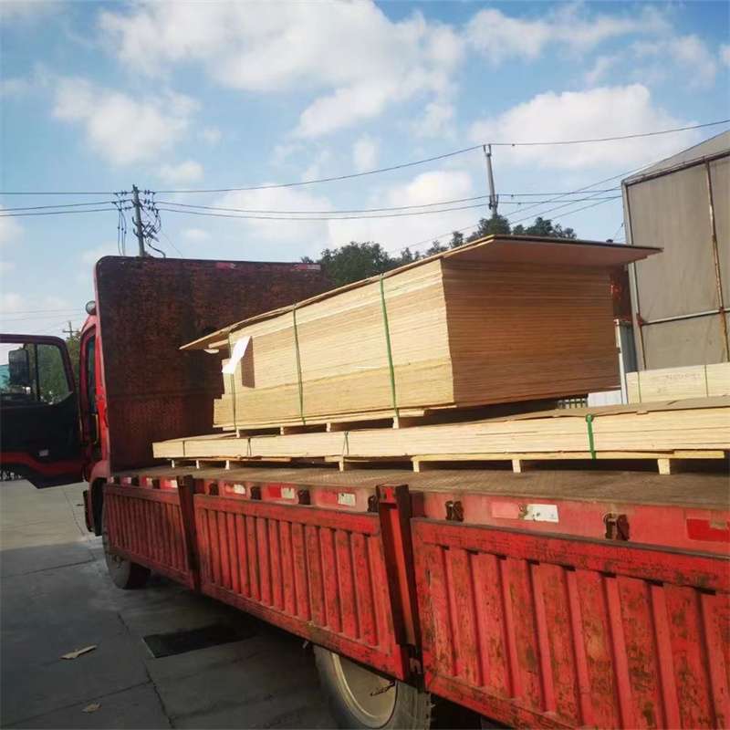 河南开封鼓楼至塔城货运专线，一站式物流服务助您成功